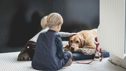 Pós-Graduação em Intervenções Assistidas por Animais – Cães