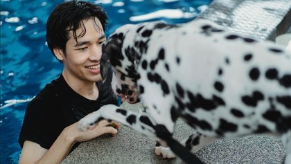 Pós-Graduação em Intervenções Assistidas por Animais – Cães